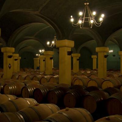 Toskana Caparzo Weinexkursion Viptrip