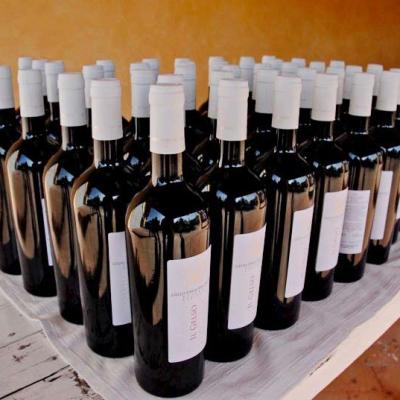Roma Lazio: Weinschulung mit einer Vertikalen