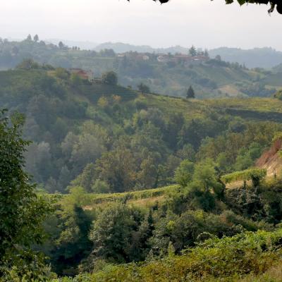 Piemont Trueffel Suche Event Unterwegs Viptrip