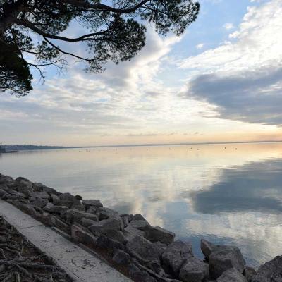 Gardasee Abenddaemmerung Pinie Italien 1