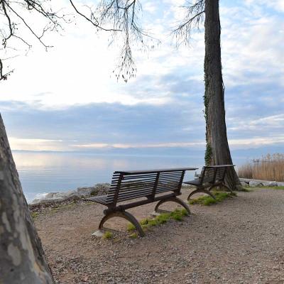 Gardasee Bank Strand Italien