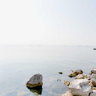 Gardasee Schiffssteg und Möve