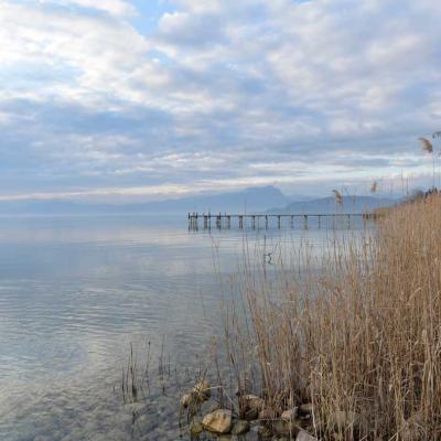 Gardasee im Frühling mit Schiffssteg